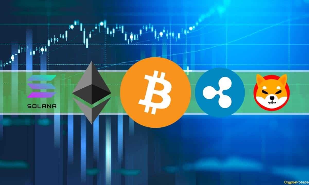 Ethereum, Ripple, Cardano, Solana et Shiba Inu