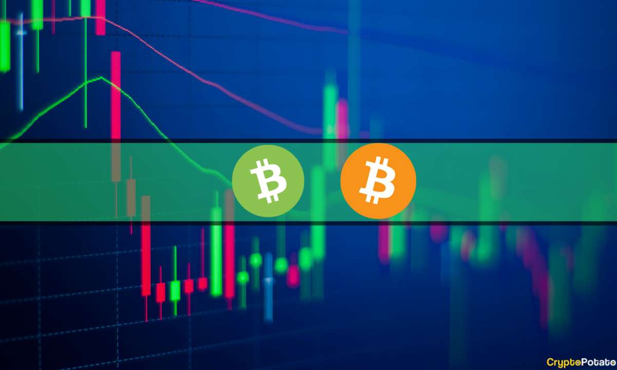 BTC teste 31 000 $ alors que Bitcoin Cash grimpe de 30 % : Market Watch