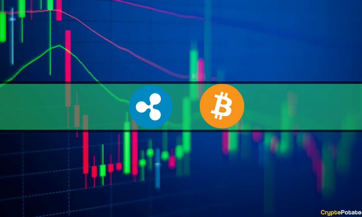 Bitcoin Shaky Amid SEC Fiasco, Ripple (XRP) glisse à 0,52 $ (Observation du marché)