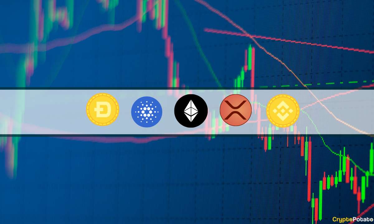 ETH, XRP, ADA, BNB et DOGE