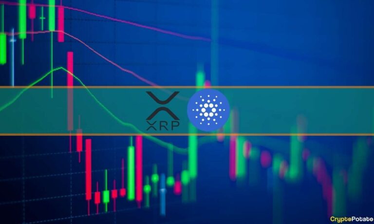 Ripple (XRP) chute de 9% par semaine, Cardano (ADA) emboîte le pas: Market Watch