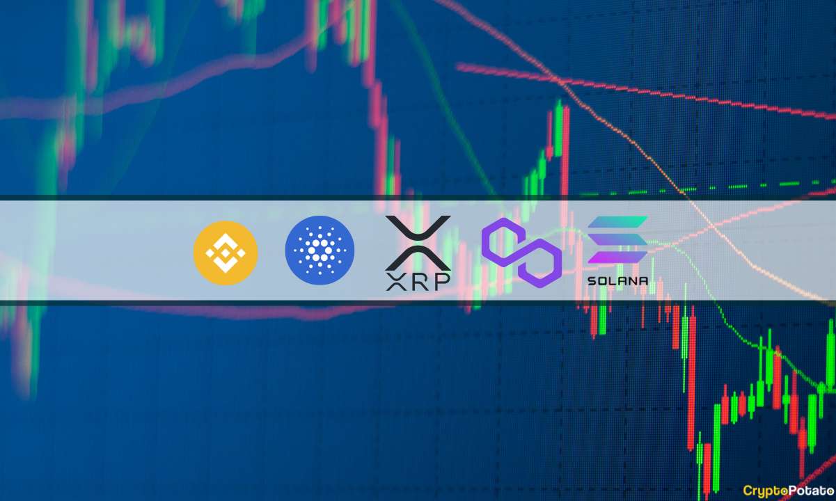 XRP, ADA, BNB, SOL et MATIC