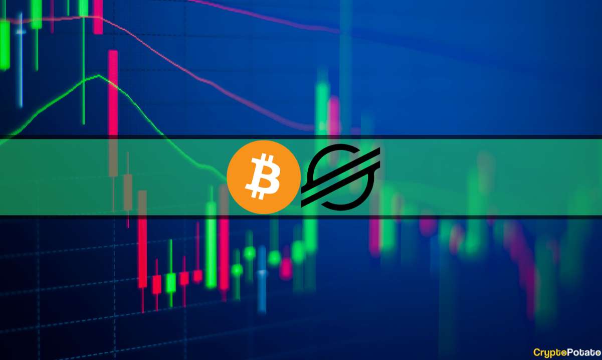 BTC dépasse les 30 000 $ tandis que Stellar (XLM) monte en flèche de 23 % du jour au lendemain : Market Watch