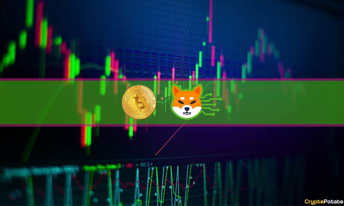 Le calme avant la tempête?  Bitcoin Squeezing à 29 000 $, SHIB monte en flèche sur Binance News : Market Watch