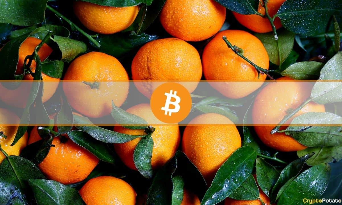 Les prix des oranges ont augmenté depuis 2020 à peu près autant que Bitcoin