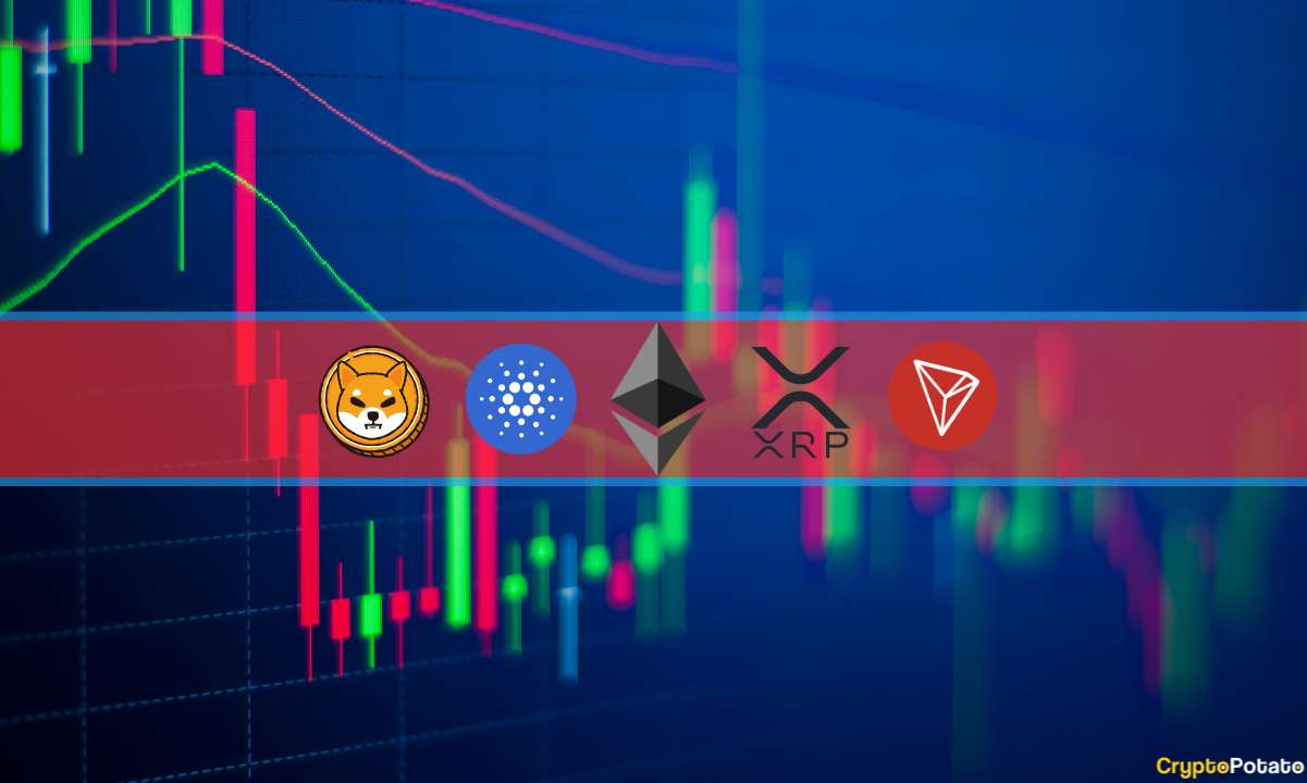 Analyse des prix des cryptomonnaies septembre 2008 : ETH, XRP, ADA, SHIB et TRX