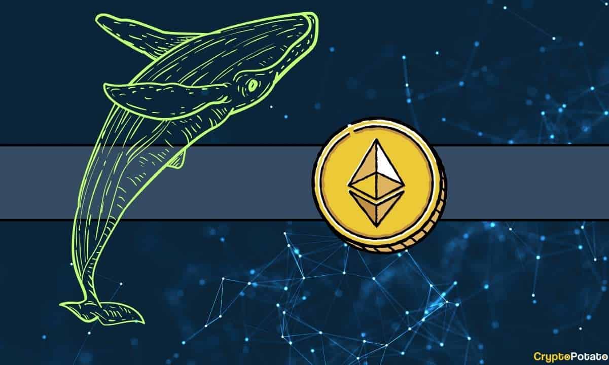 Le fond est-il pour Ethereum ?  Les baleines accumulent des millions d’ETH