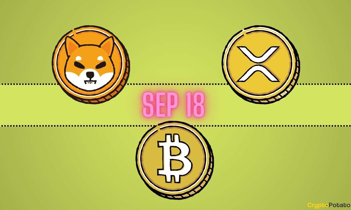 Nouvelles prévisions de prix XRP, objectifs de prix BTC, préparation du SHIB Bull Run : récapitulation des bits le 18 septembre