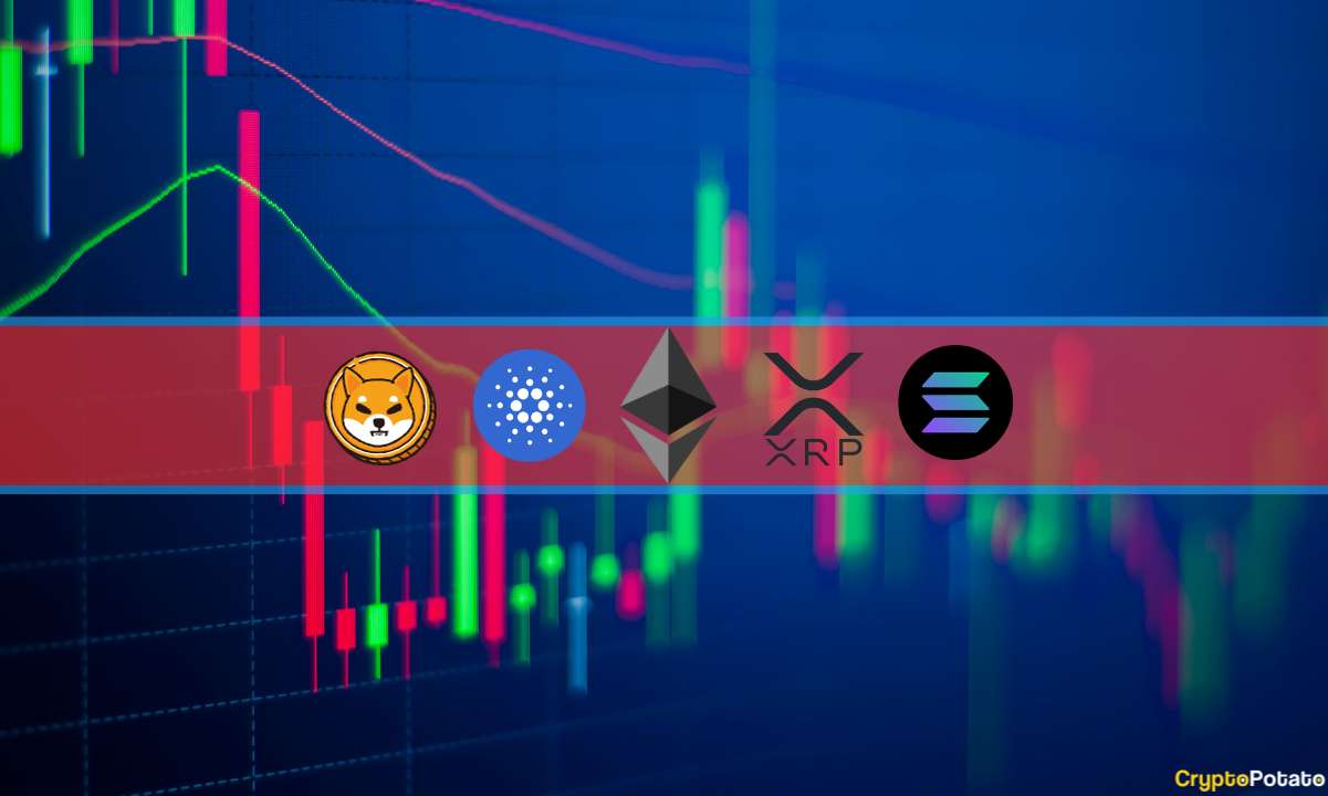 Analyse des prix des crypto-monnaies le 6 octobre : ETH, XRP, ADA, SHIB et SOL