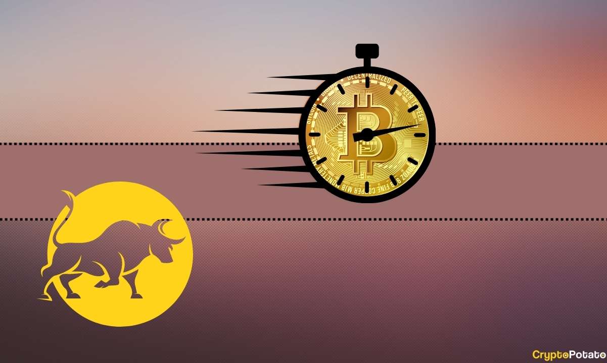 Est-il temps d’acheter du BTC avant le prochain Bitcoin Bull Run ?