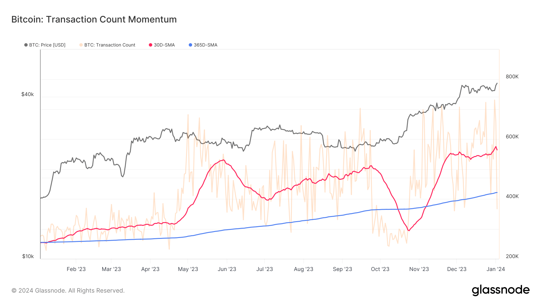 dynamique des transactions Bitcoin 1 an