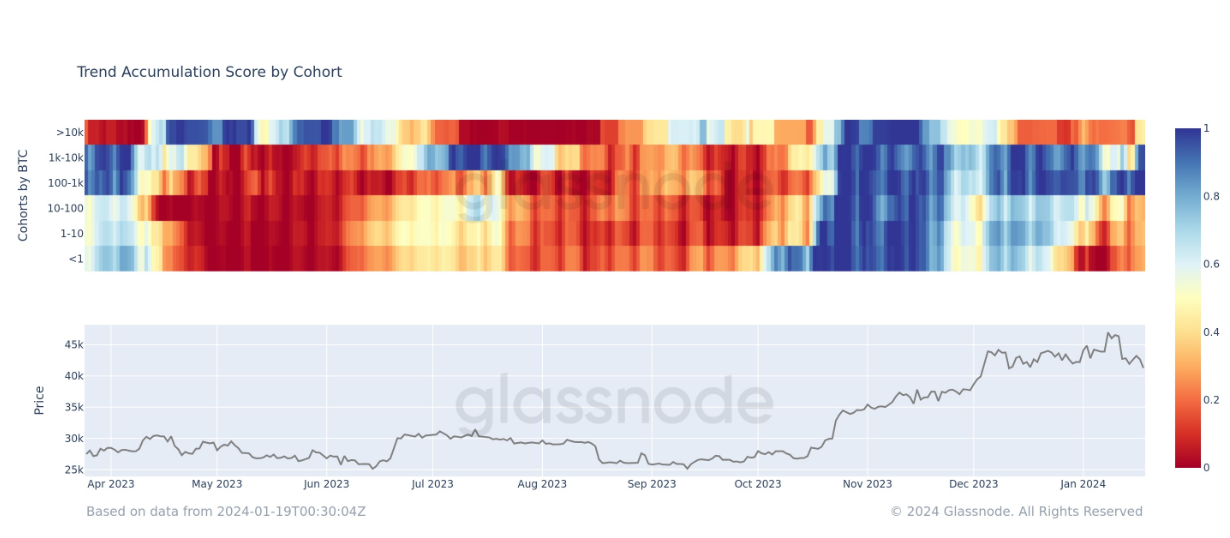 Score de tendance d’accumulation par cohorte : (Source : Glassnode)