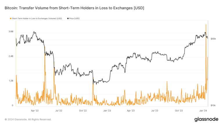 Les détenteurs de Bitcoin à long terme commencent à encaisser alors que les investisseurs à court terme subissent des pertes