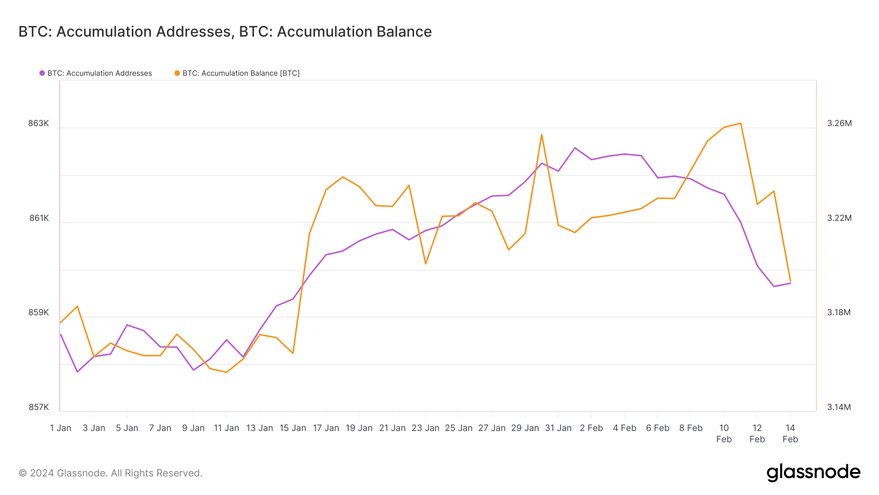 numéro d'adresse d'accumulation de Bitcoin et approvisionnement depuis le début de l'année