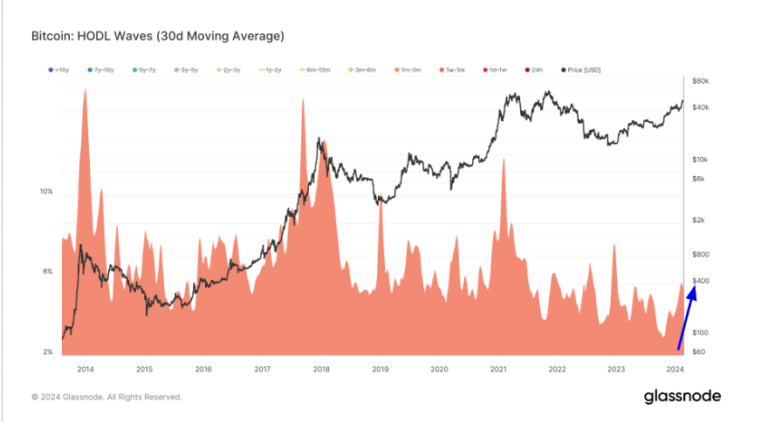 L'analyse des vagues HODL révèle un marché spéculatif en jeu