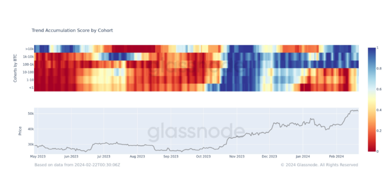 Bitcoin se stabilise au-dessus de 50 000 $ pendant plus d'une semaine alors que de nouveaux modèles d'accumulation émergent