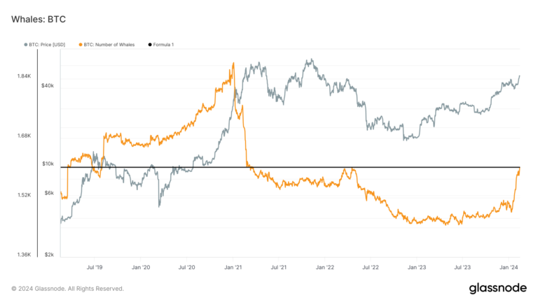 Les baleines Bitcoin sont en hausse alors que les chiffres atteignent leur plus haut niveau depuis trois ans alors que les ETF rejoignent la cohorte