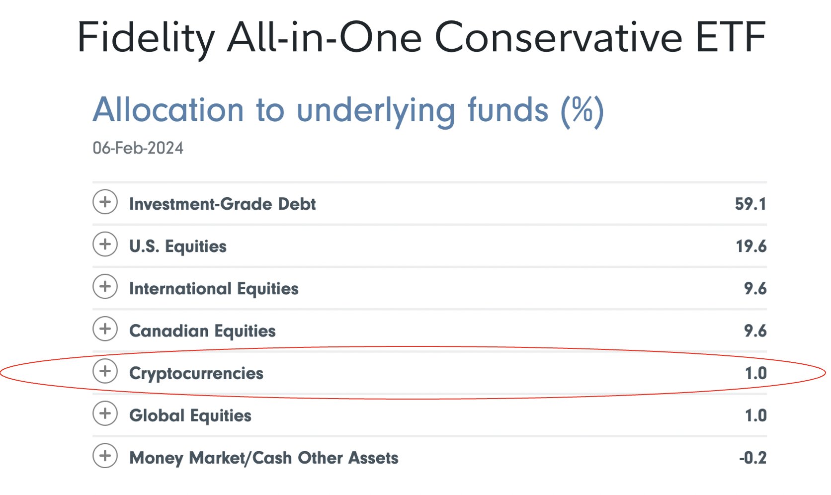 FNB Fidelity All-in-One Conservateur : (Source : Matt Hougan)