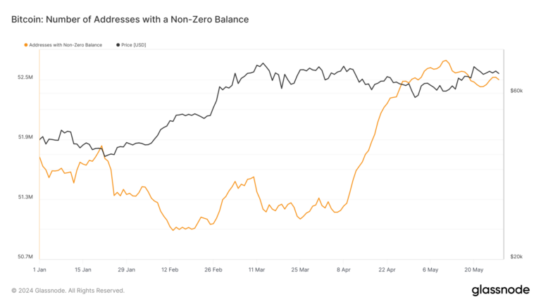 Les adresses Bitcoin avec des soldes positifs dépassent les 52,5 millions dans un contexte de forte croissance depuis 2020