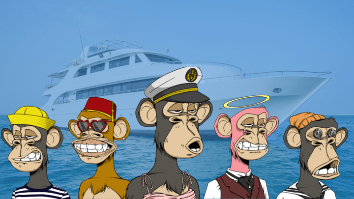 Bored Ape Yacht Club et Worldcoin : meilleurs choix