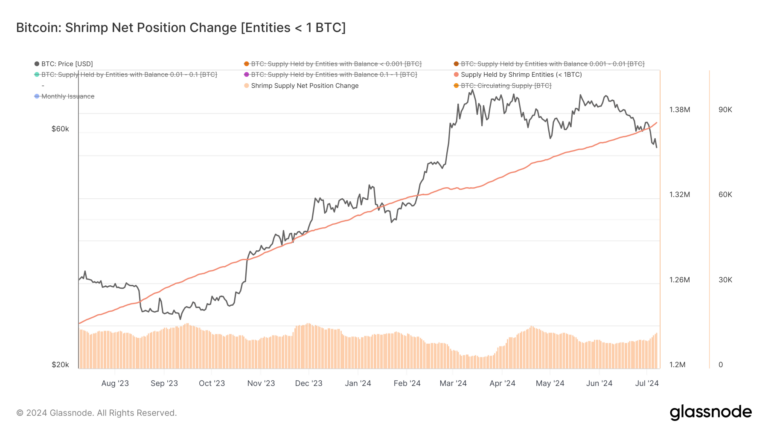 Les détenteurs de Bitcoin intensifient leur accumulation dans un contexte de baisse