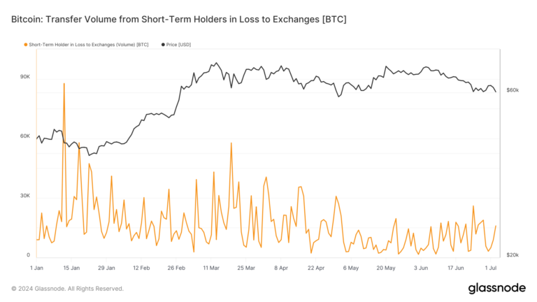 Baisse des ventes de panique : le volume de transfert de bitcoins des détenteurs à court terme atteint son niveau le plus bas après la réduction de moitié de 2024