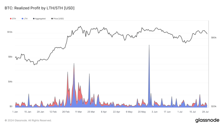 Les détenteurs de Bitcoin à long terme dominent les réalisations de bénéfices en 2024, tirant parti des pics de prix